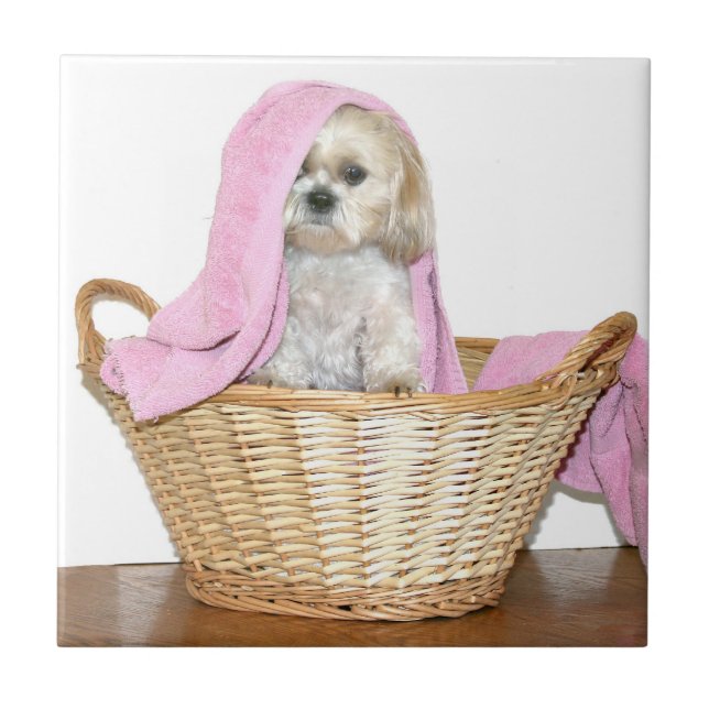 Shih Tzu in laundry basket Ceramic Tile (Front)