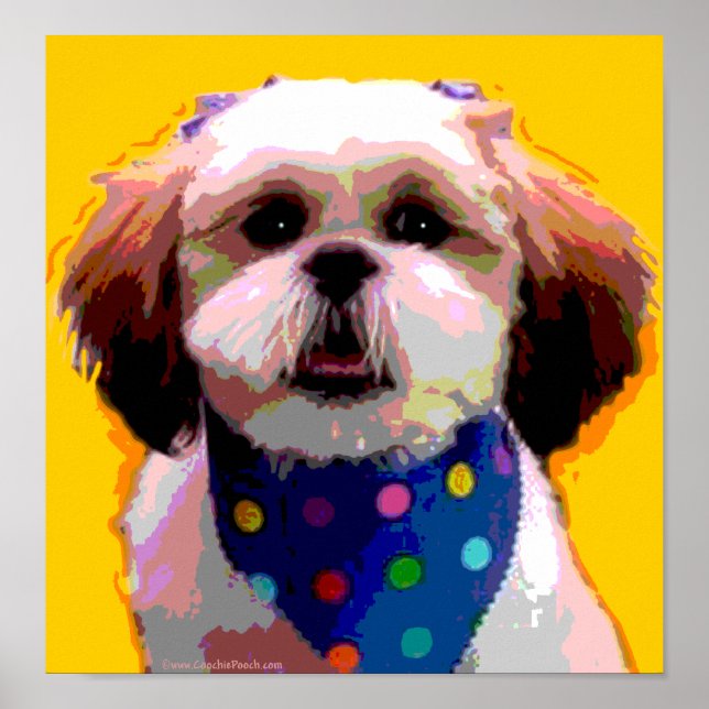 Shih Tzu in Polkadots Canvas Print (Front)