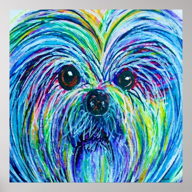 Shih Tzu Intense Colours Poster (Front)