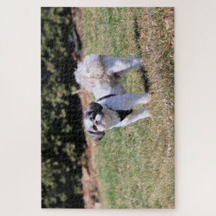 Shih Tzu Jigsaw Puzzle