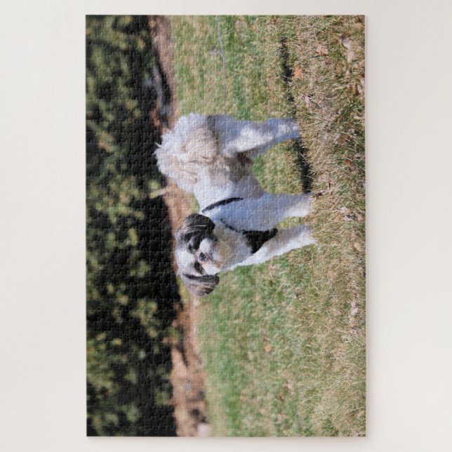 Shih Tzu Jigsaw Puzzle (Vertical)