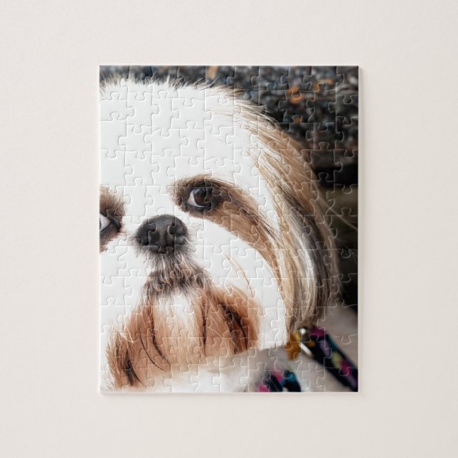 Shih Tzu Jigsaw Puzzle (Vertical)