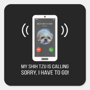 Shih Tzu Lover   Funny Shih Tzu Dog Square Sticker