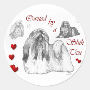 Shih Tzu Lovers Gifts Classic Round Sticker