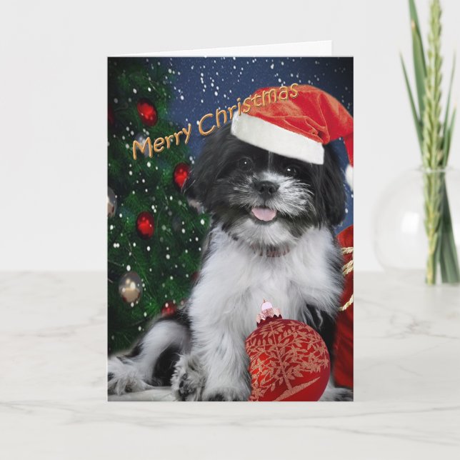 Shih Tzu Merry Christmas Cards (Front)