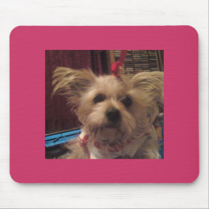 Shih Tzu Mouse Pad