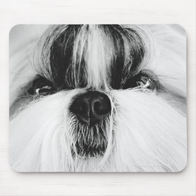 Shih Tzu Mouse Pad (Front)