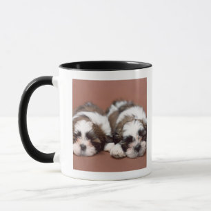 Shih Tzu Mug
