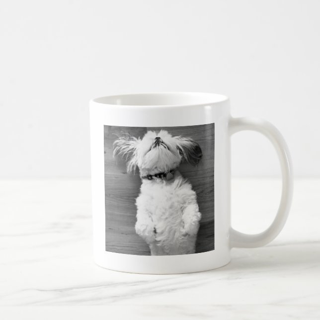 Shih Tzu Nap Coffee Mug (Right)