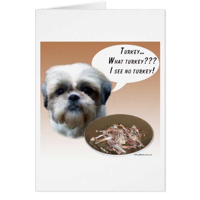 Shih Tzu (natural) Turkey (Front)
