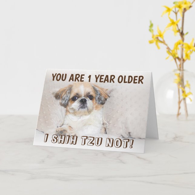 Shih tzu not cute birthday 1 year older Greeting Card (Yellow Flower)