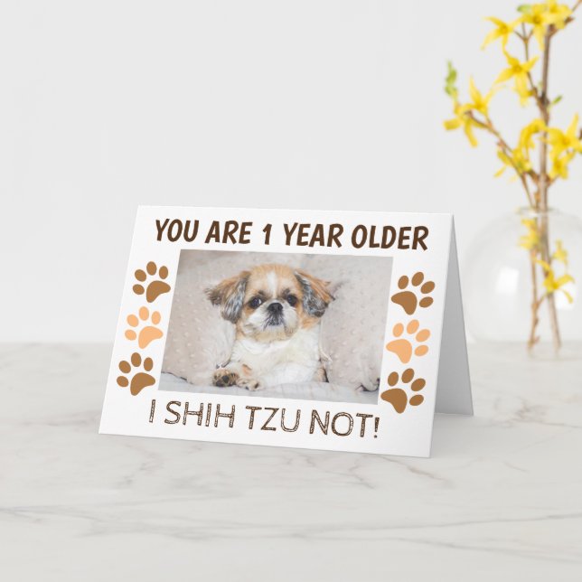 Shih tzu not cute birthday 1 year older Greeting Card (Yellow Flower)