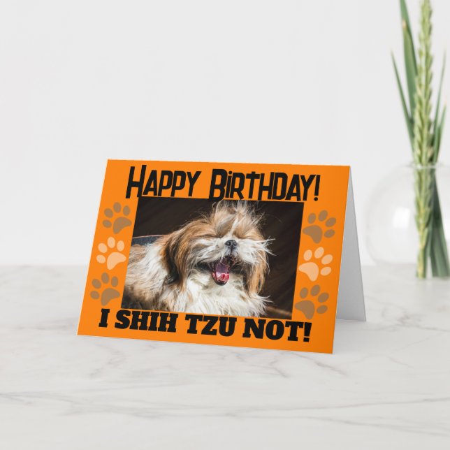 Shih tzu not laughing fun Happy birthday Greeting Card (Front)