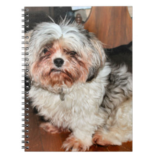 Shih Tzu Notebook