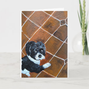 Shih Tzu on Terrace Painting by Alfred Fox Card