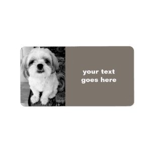 Shih Tzu Personalised Address Labels