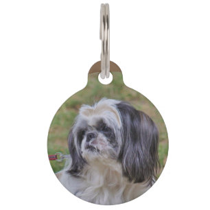 Shih Tzu Pet Tag