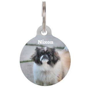 Shih Tzu Pet Tag