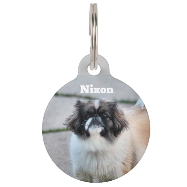 Shih Tzu Pet Tag (Front)