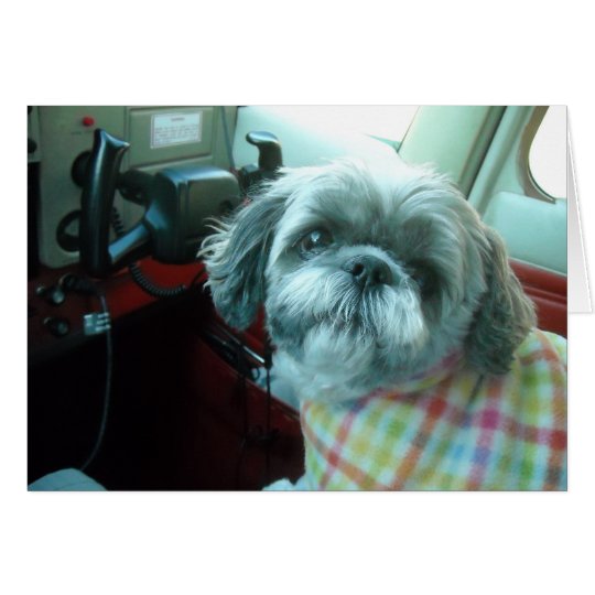Shih Tzu pilot Card