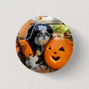 Shih Tzu Pirate Pumpkin Pinback Button