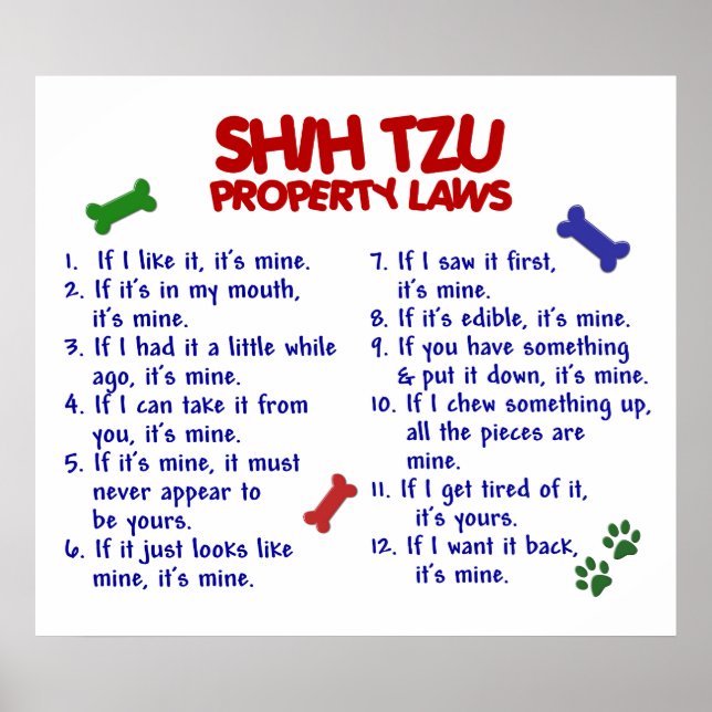 SHIH TZU PL2 POSTER (Front)