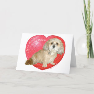 Shih Tzu / Poodle Mix Valentines Day Holiday Card