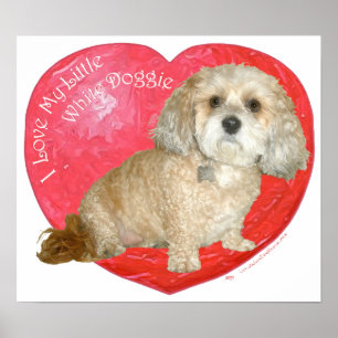 Shih Tzu / Poodle Mix Valentines Day Poster