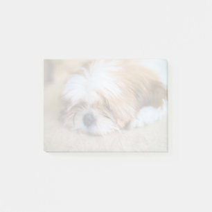 Shih Tzu Post-it Notes