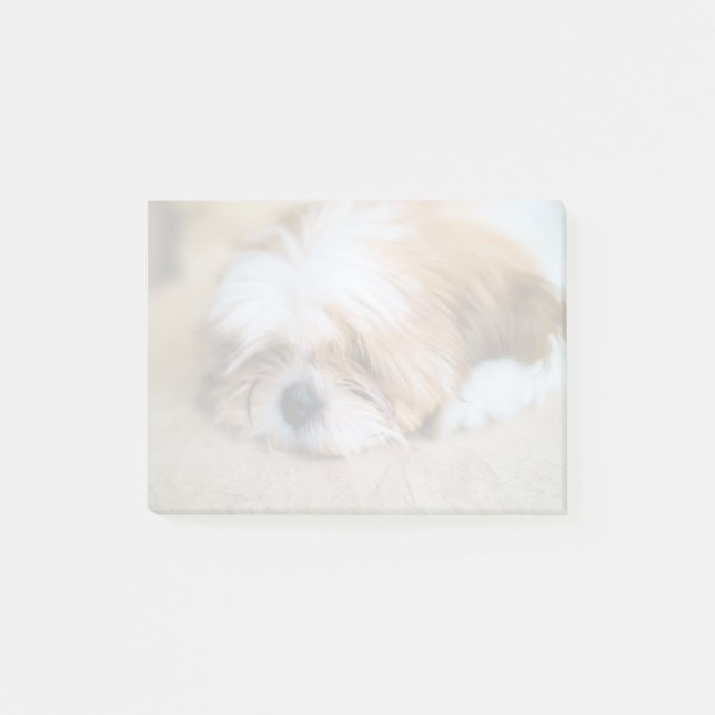 Shih Tzu Post-it Notes (Front)