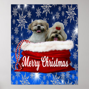 Shih tzu Poster Christmas