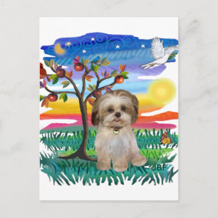 Shih Tzu Pup #2 Postcard