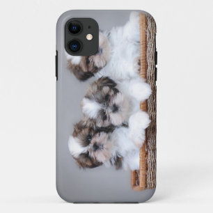 Shih Tzu puppies iPhone 11 Case