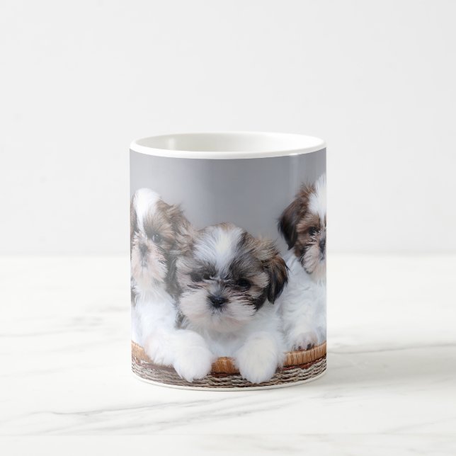 Shih Tzu puppies Coffee Mug (Center)