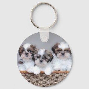 Shih Tzu puppies Key Ring