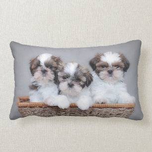 Shih Tzu puppies Lumbar Cushion