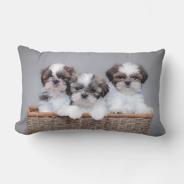 Shih Tzu puppies Lumbar Cushion (Front)