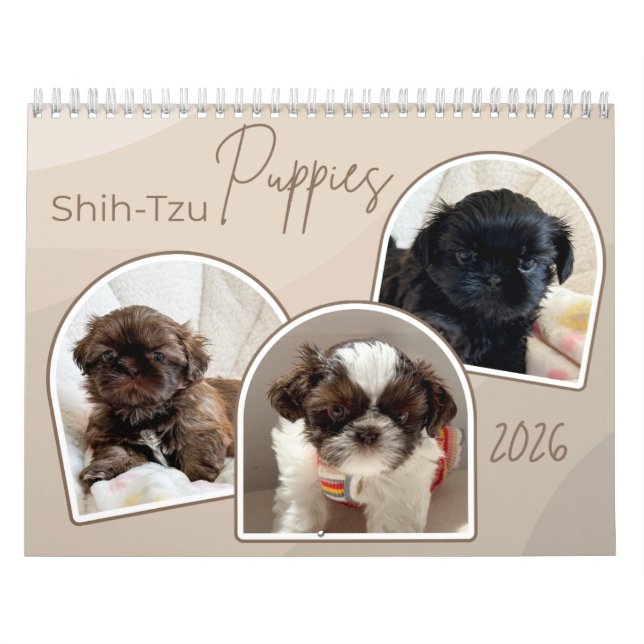 Shih-Tzu Puppies Photo Collage Calendar (Cover)