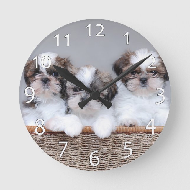 Shih Tzu puppies Round Clock (Front)