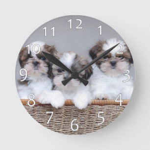 Shih Tzu puppies Round Clock
