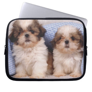Shih Tzu puppies under a checked blanket Laptop Sleeve