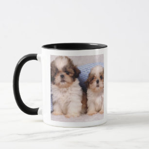 Shih Tzu puppies under a checked blanket Mug
