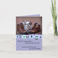 Shih Tzu Puppy Birthday Greetings