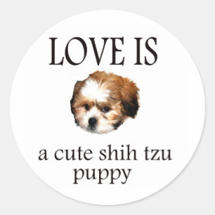 Shih Tzu Puppy Classic Round Sticker