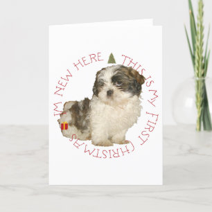Shih Tzu Puppy First Christmas Holiday Card