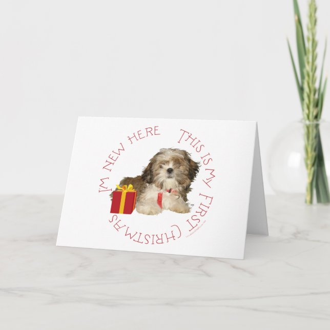 Shih Tzu Puppy First Christmas Holiday Card (Front)