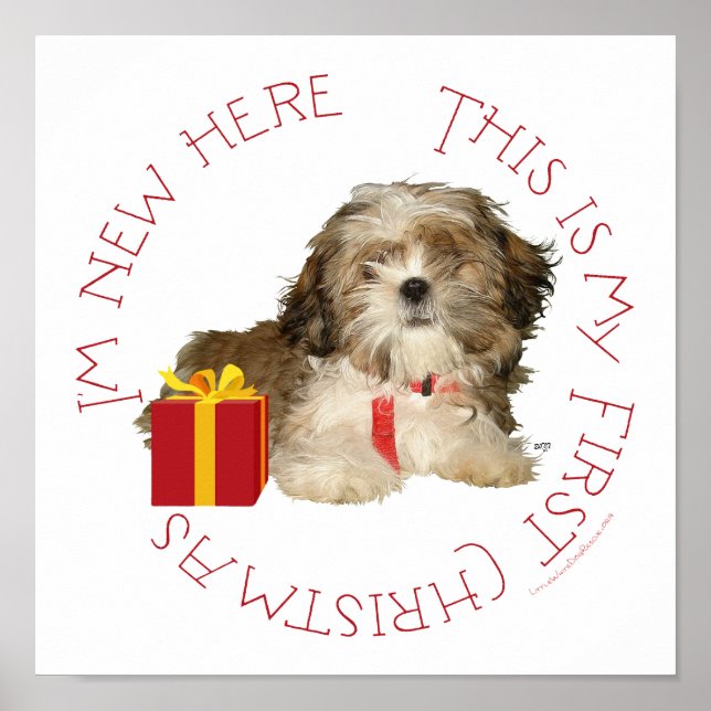 Shih Tzu Puppy First Christmas Poster (Front)