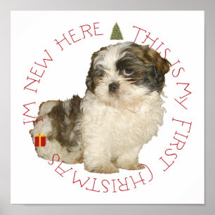 Shih Tzu Puppy First Christmas Poster