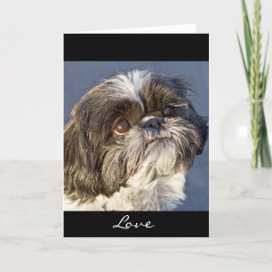 Shih Tzu Puppy Greeting Card - Verse Inside