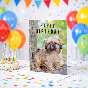 Shih Tzu Puppy Happy Birthday Card Cute Dog